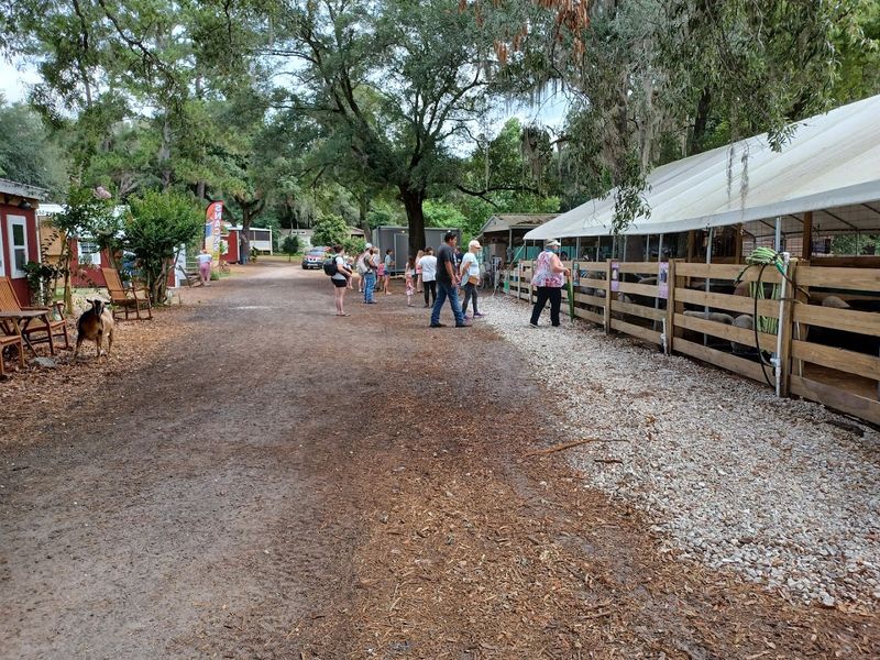 Plan Your Visit: Logistics, What to Bring, and Tips