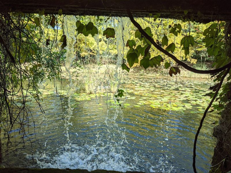 Waterfalls That Feel Like a Different World