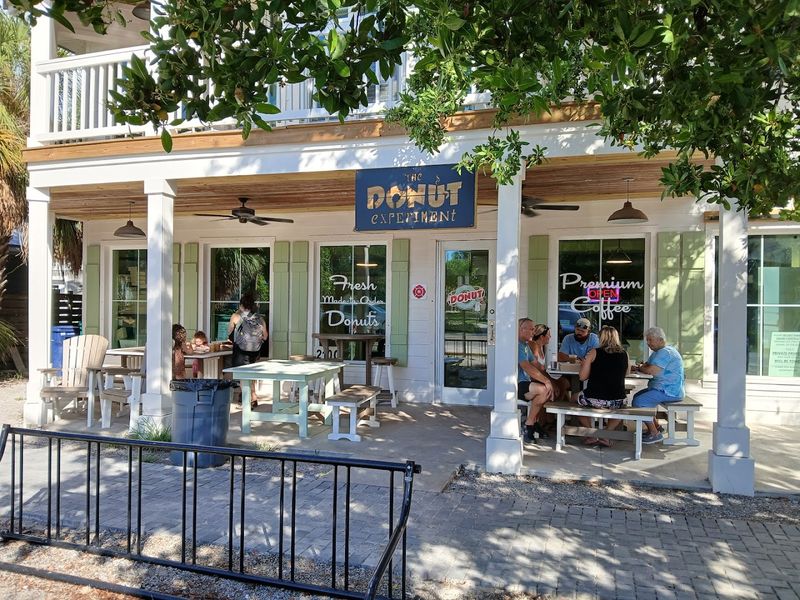 The Donut Experiment — Anna Maria Island