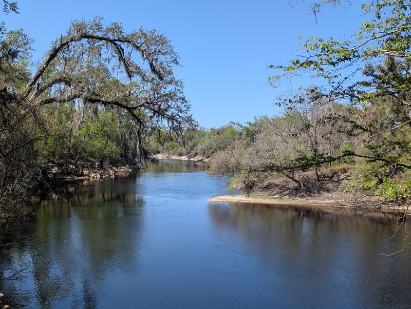 Suwannee River State Park (Live Oak)