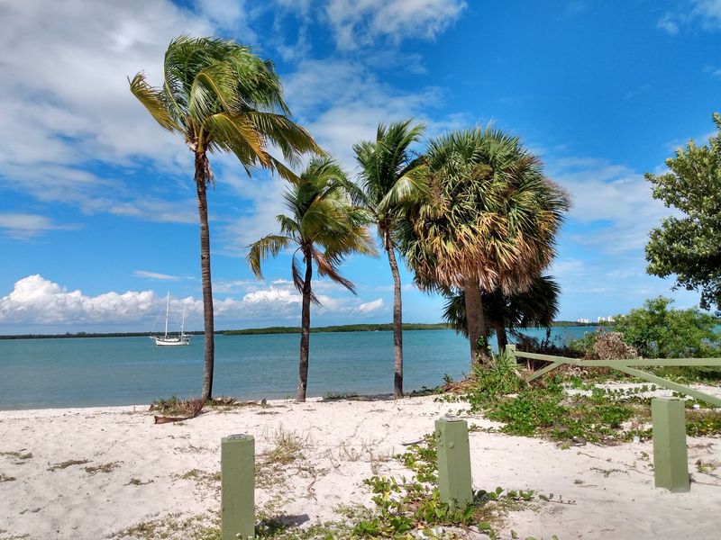 Dog-Friendly Beach Access