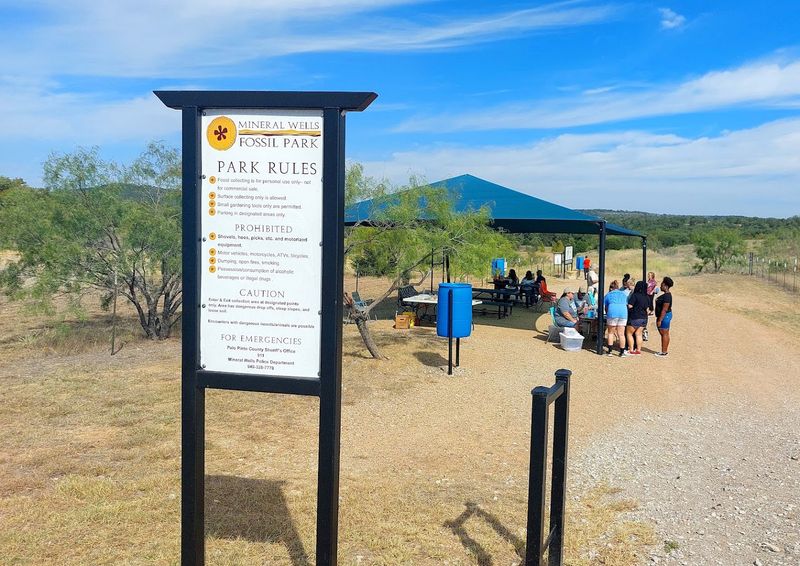 Beat the Heat with Smart Timing