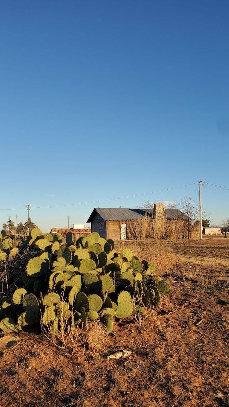 Working Cattle Ranches