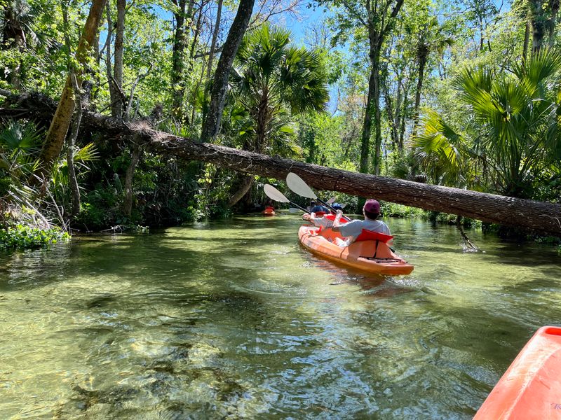 Where to Find It and How to Get to the Launch at King's Landing