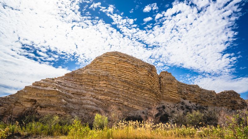 Ancient Petroglyphs Mark Indigenous History