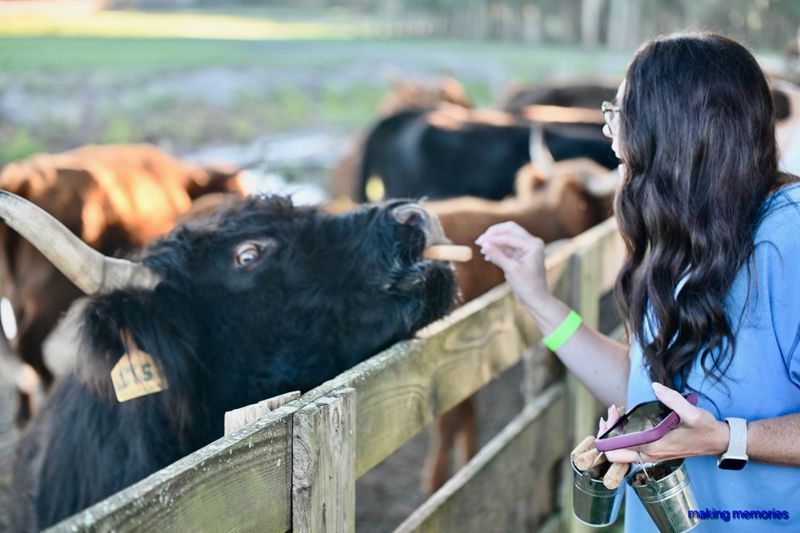 Family Friendly, Educational, and Accessible Fun