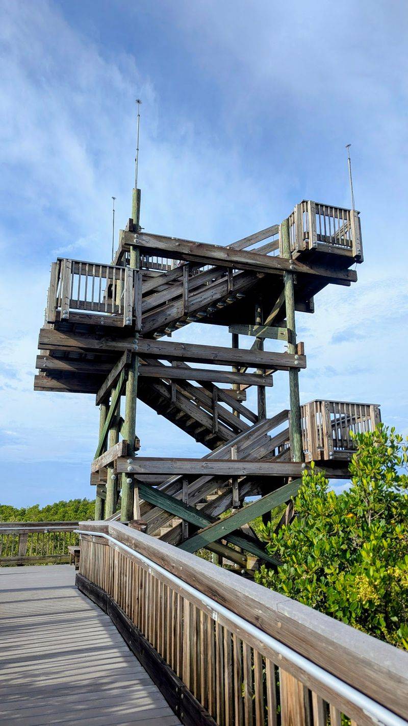 Weedon Island Preserve Observation Tower (St. Petersburg)
