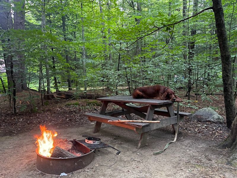Campground Comforts and Quiet Nights