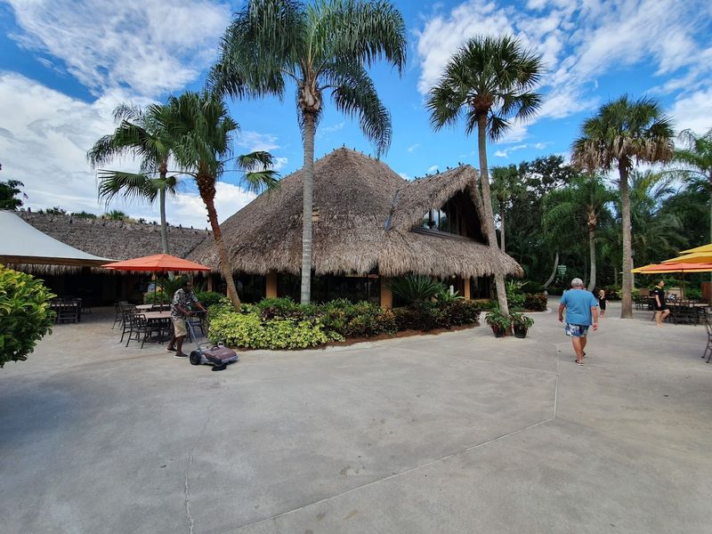 All-Inclusive Dining and Amenities