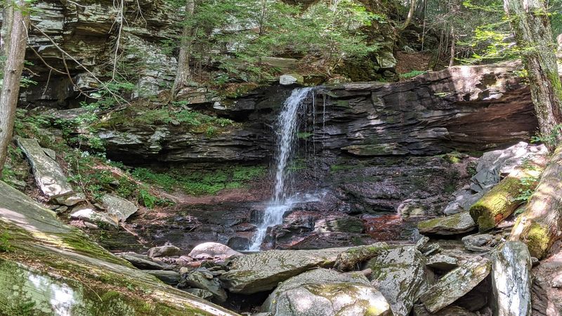 B. Reynolds Falls, Ricketts Glen State Park
