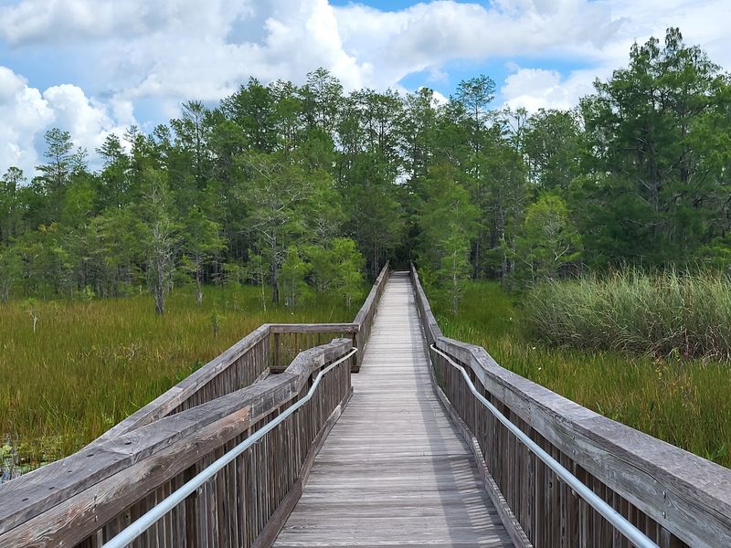 Grassy Waters Preserve (West Palm Beach)