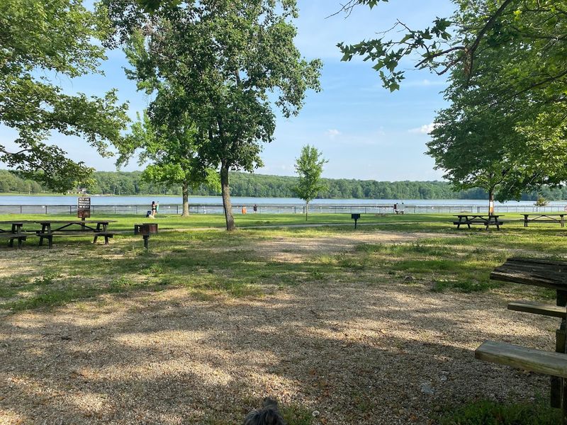 Quaker Race Beach at Gifford Pinchot State Park, Lewisberry