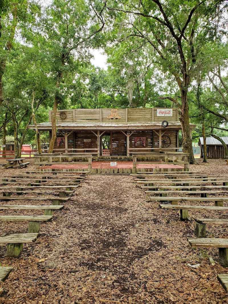 Live Music, Shows, And Extras