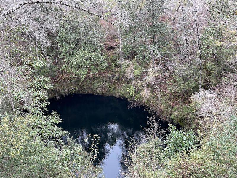 Dry Sinkholes vs. Wet Sinkholes: Understanding What You're Actually Looking At