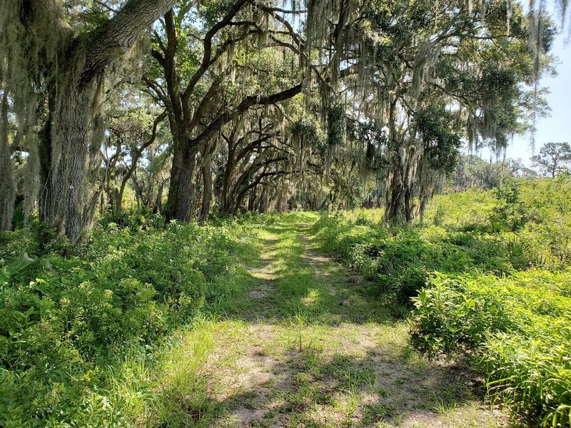 Kids Scrub-Jay Discovery Zone