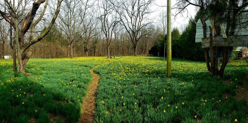 A Peaceful Escape From the Everyday