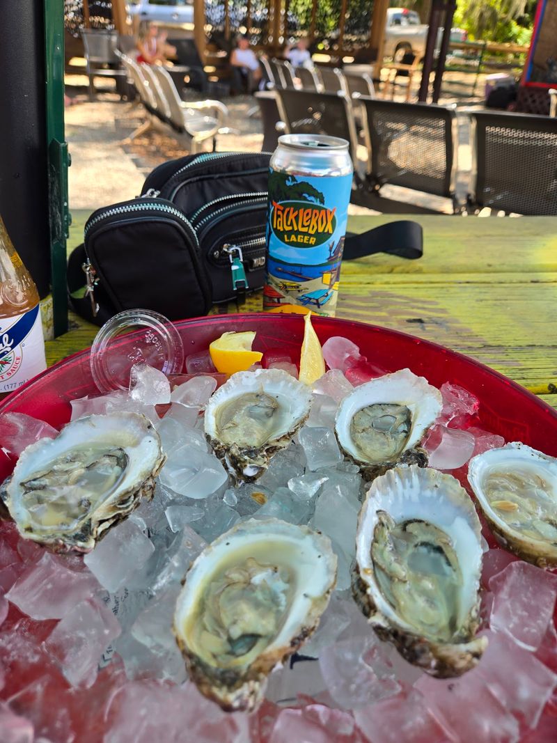 Oysters Pulled From the Water Just a Day Before