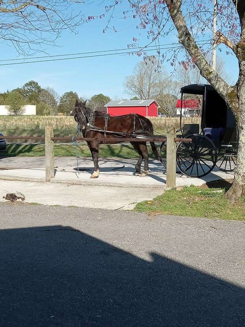 The Beauty of the Slow Lane