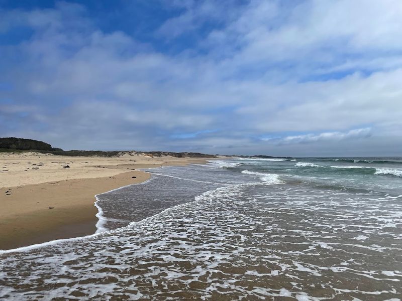 Gazos Creek Beach, San Mateo County