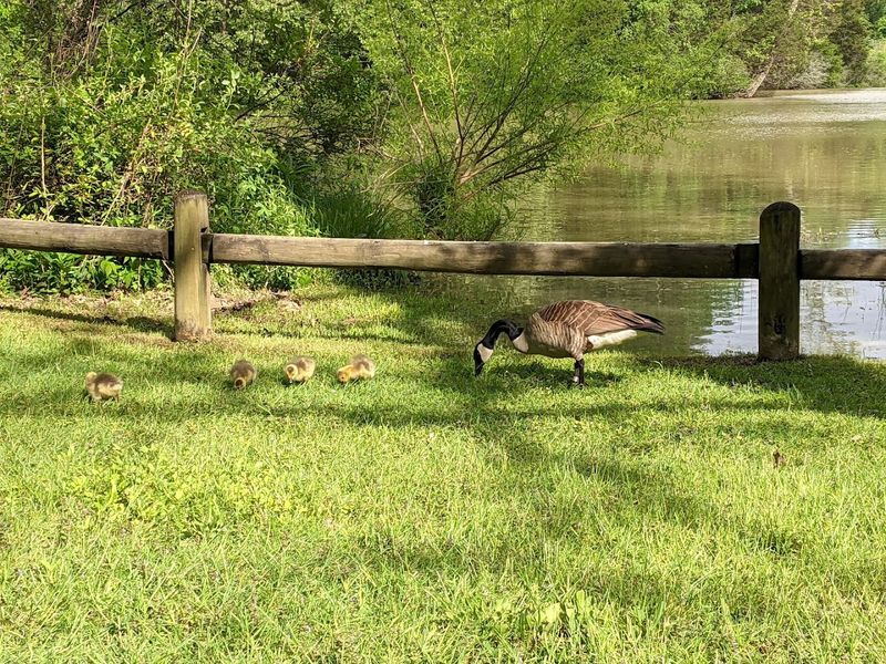 Wildlife and wetlands make every visit a little different