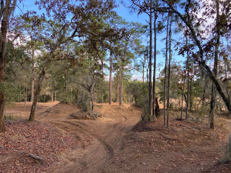 Single Track Heaven