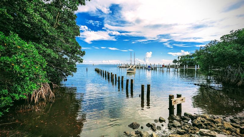 The Last Slice of Natural Shoreline on Biscayne Bay