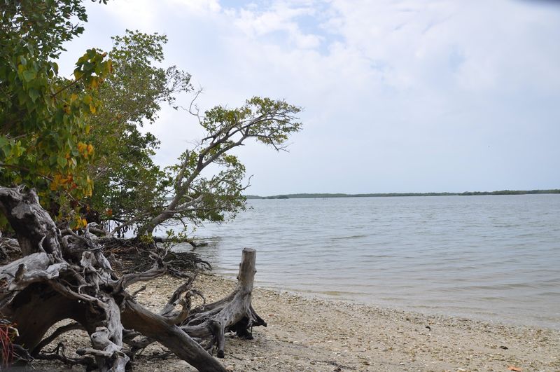 A Community Built on Shell Mounds