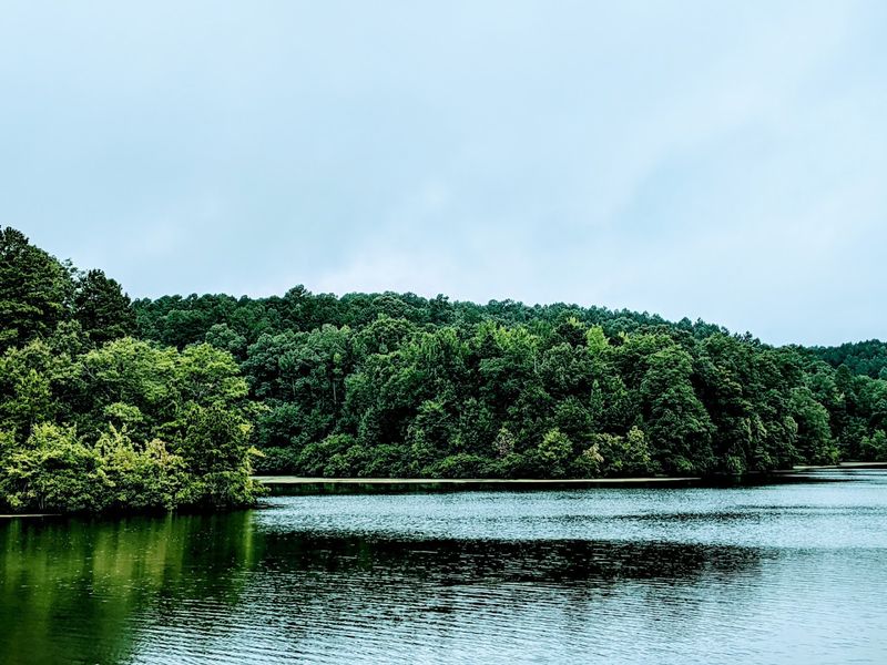 The Scenery Here Is Peaceful, Wild, and Full of Natural Beauty