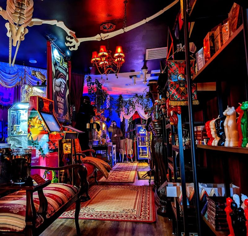 Friendly Owners Who Share Their Knowledge Generously