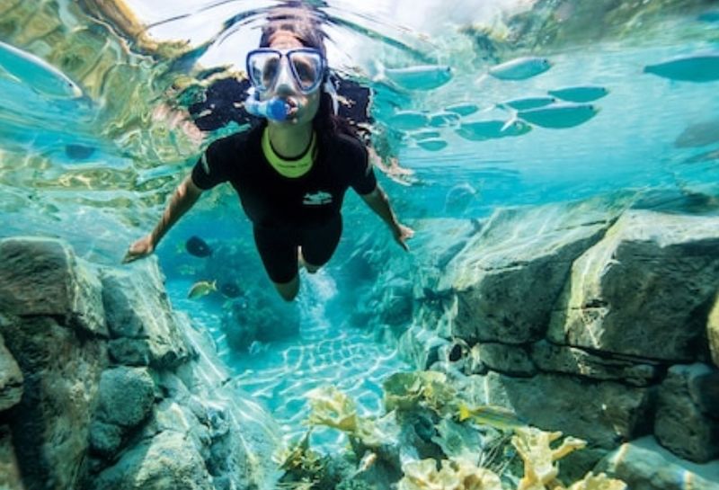 Discovery Cove (Orlando)