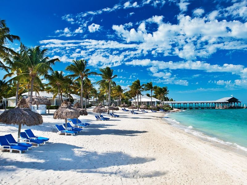 Planning Your Underwater Music Festival Visit