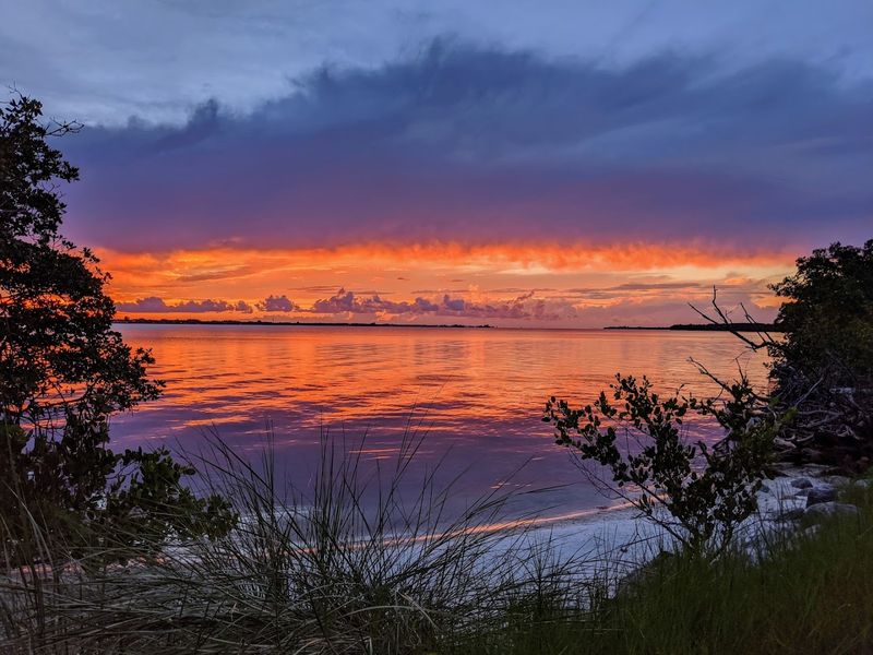 Why the Lagoon Glows at Night