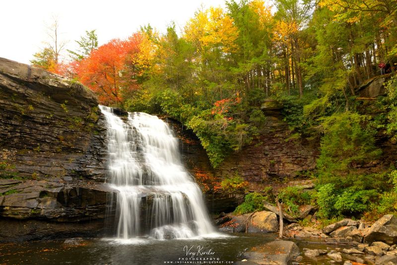 Swallow Falls State Park (Oakland)
