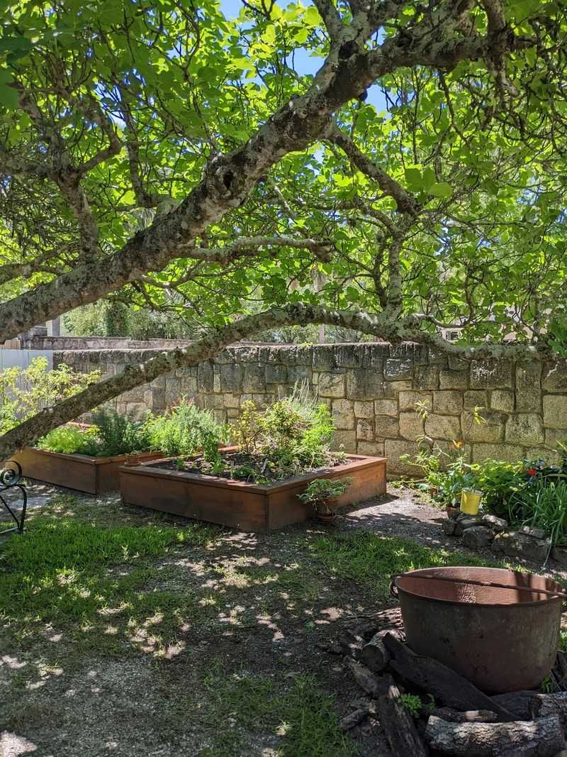 The Garden's Living History