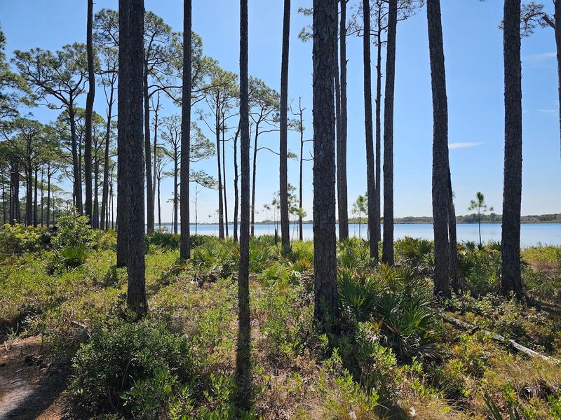Topsail Hill Preserve State Park (Santa Rosa Beach)