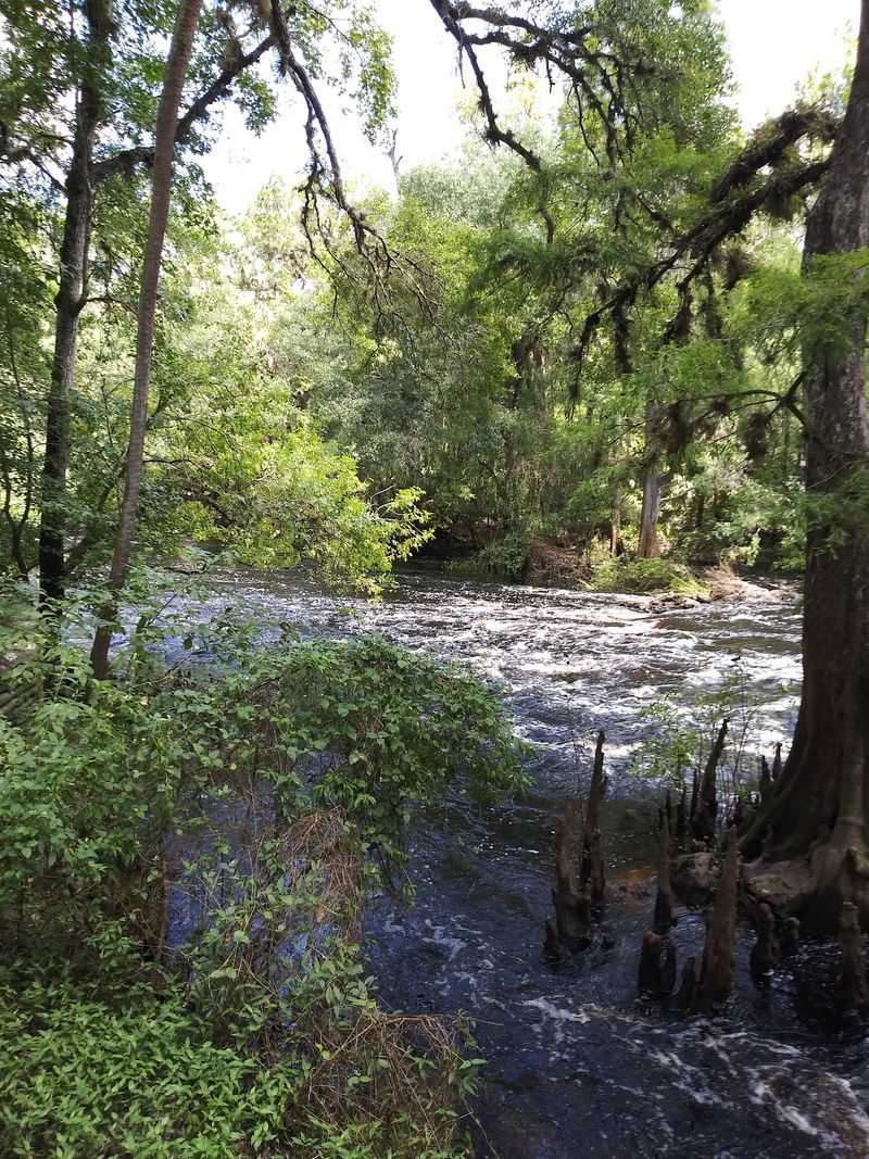 Hillsborough River State Park Campground (Thonotosassa)
