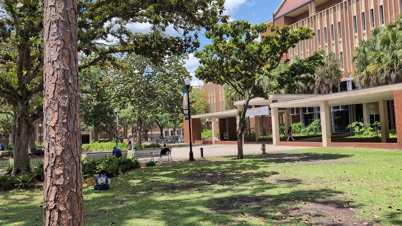 Forget Harvard and Yale: This Florida University Just Earned a Spot Among the “New Ivies”