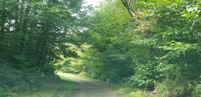 Remote, Not Reckless: Safety and Navigation Basics