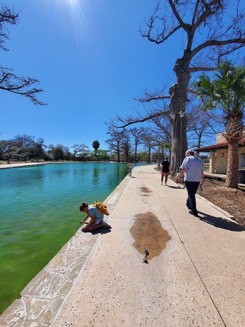 Massive Pool Size Perfect for All Ages