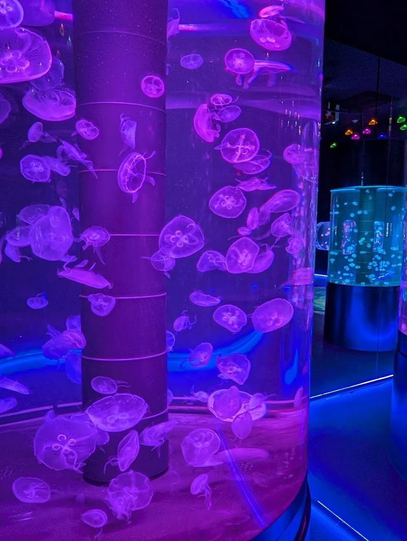Twenty Rare Species Under One Roof