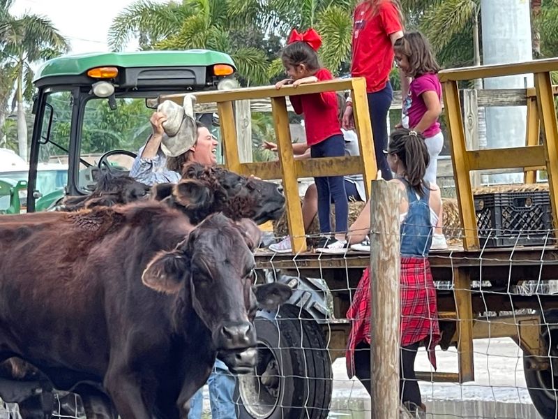 Tractor Rides Offer Behind-the-Scenes Farm Tours
