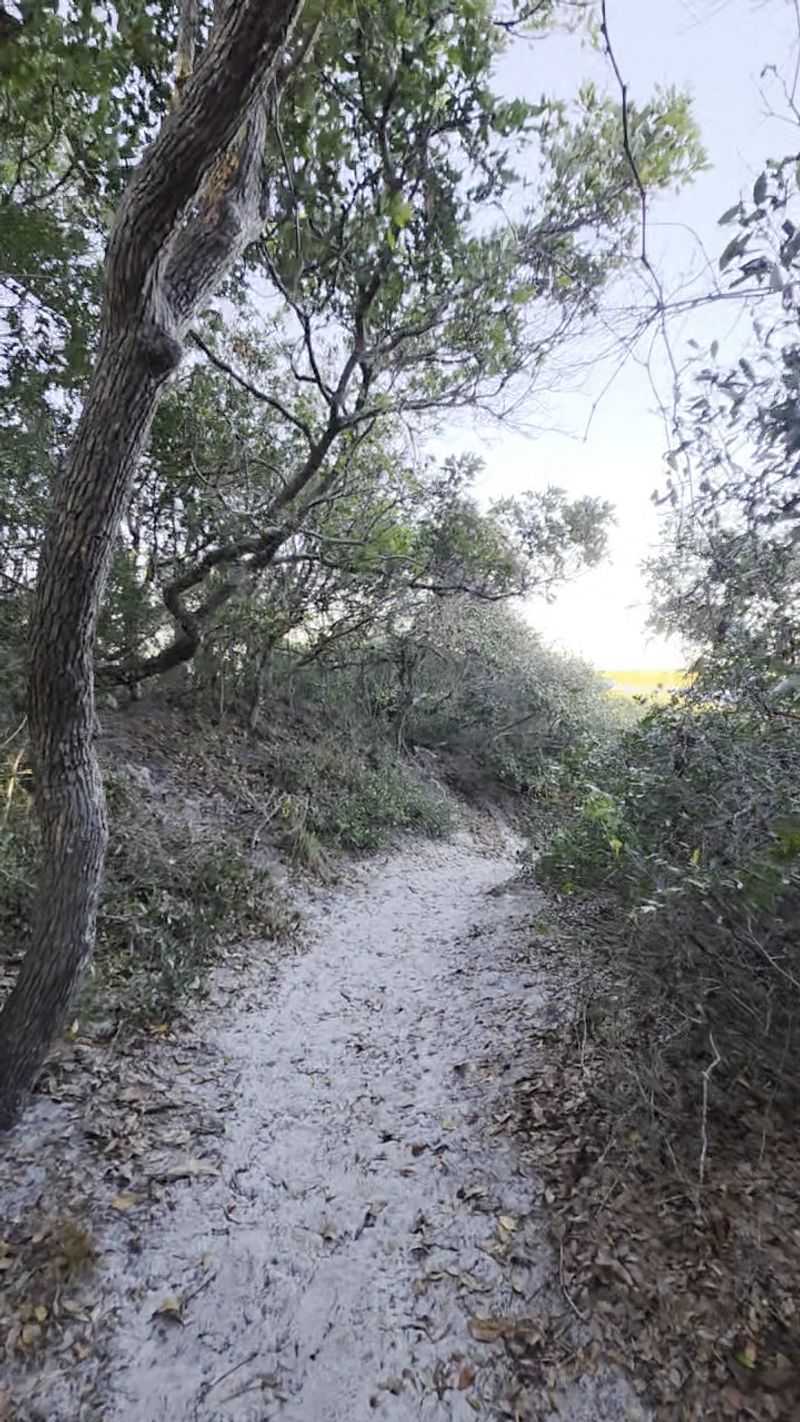 Ancient Dunes Nature Trail (St. Augustine)