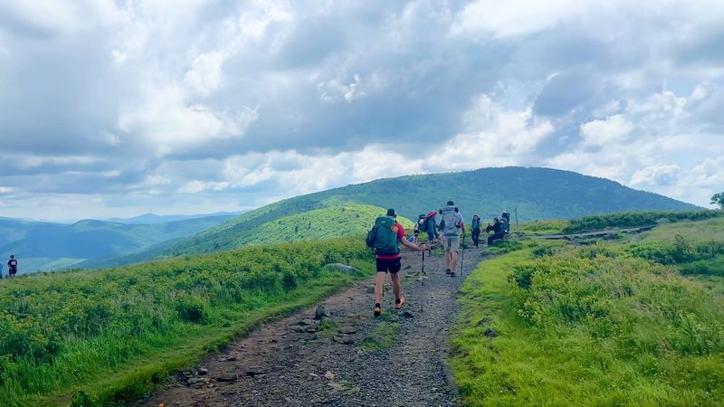 Why Carvers Gap Belongs on Every Appalachian Mountain Bucket List