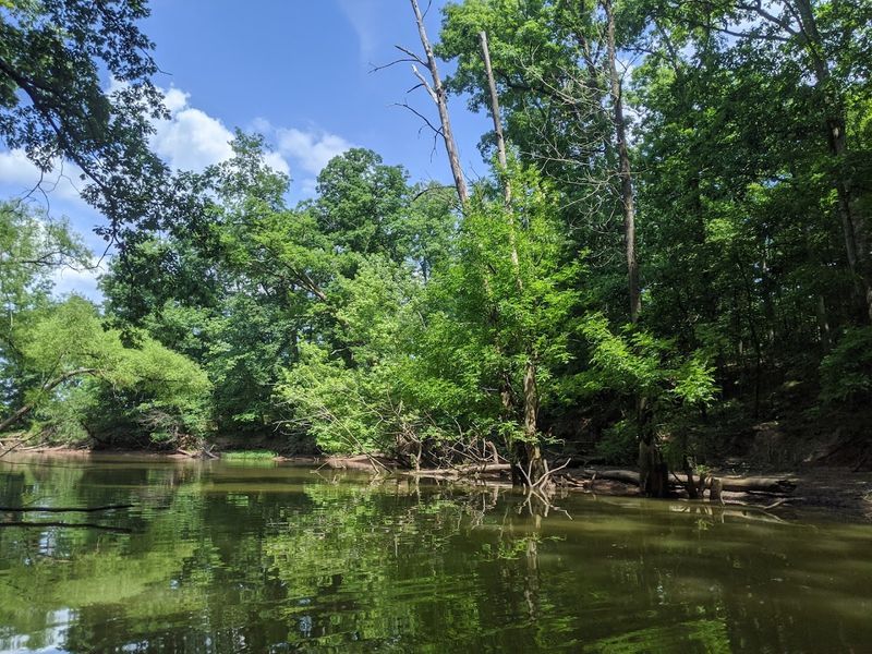 Birdwatching On Shallow Flats And Wooded Edges
