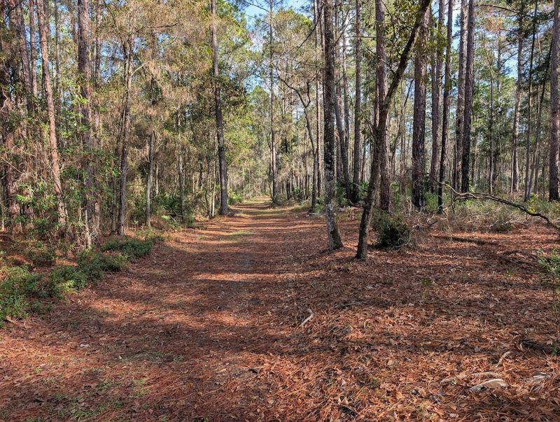 Well-Marked Trail System for Easy Navigation
