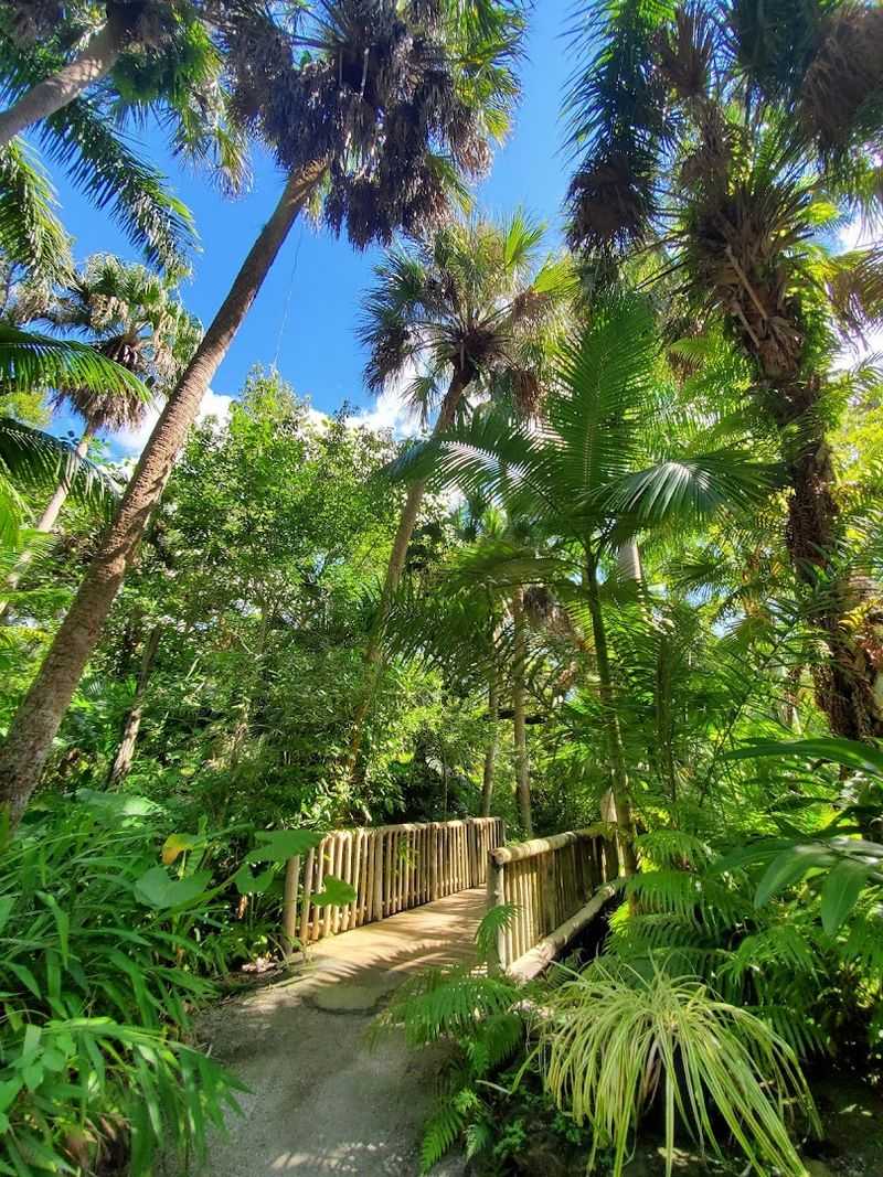 Winding Jungle Trails That Feel Like Another World