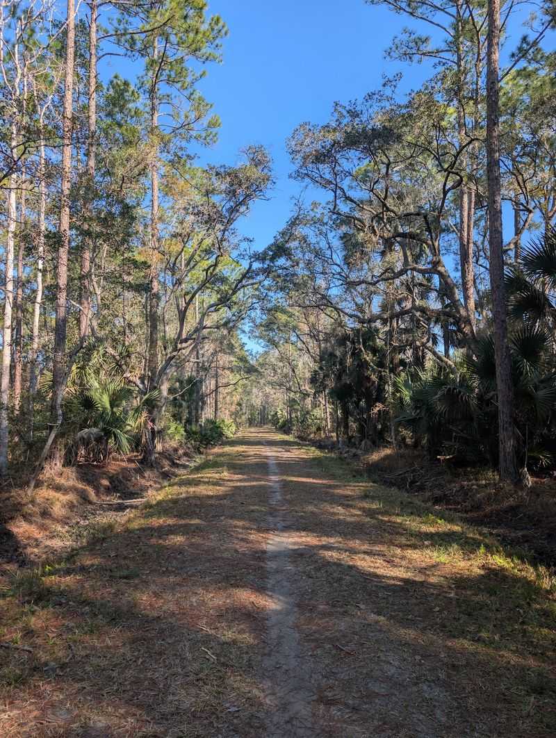 A Wide, Multi-Use Trail That Welcomes Everyone