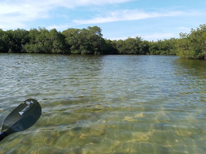 Navigate Shallow Waters Perfect for Beginners