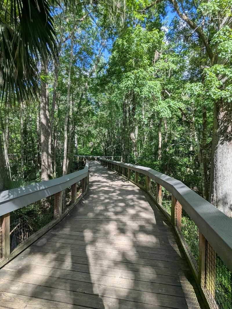 Hiking Trails and Boardwalks Surrounded by Old-Florida Nature