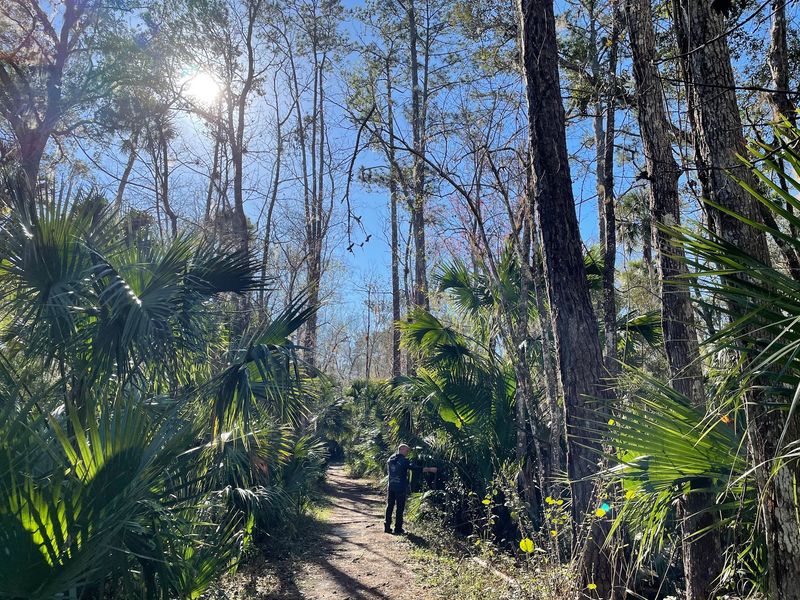 Black Bear Wilderness Loop (Sanford)